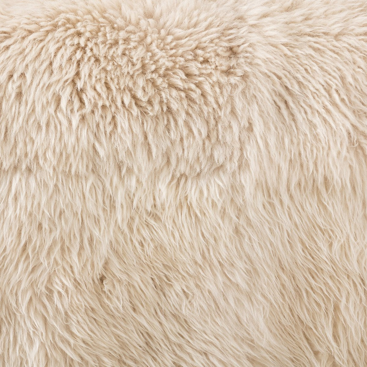 Chaise Sandro